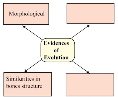Class 10 Heredity and Evolution textbook solutions Heredity and Evolution textbook solutions for class 10