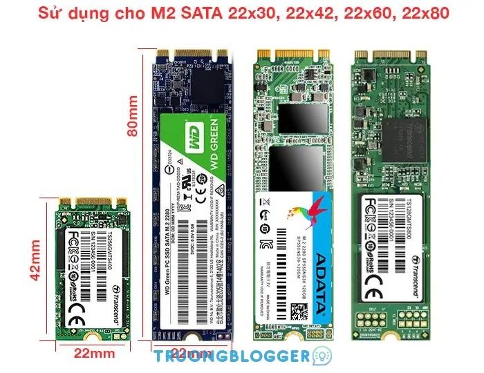 Hướng dẫn chọn mua ổ SSD để nâng cấp cho máy tính để bàn và laptop sao cho hiệu quả nhất