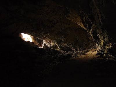 ΚΑΤΑΓΡΑΦΗ ΠΕΡΙΕΡΓΩΝ ΟΝΤΟΤΗΤΩΝ ΣΤΟ ΣΠΗΛΑΙΟ ΤΟΥ ΝΤΑΒΕΛΗ!  