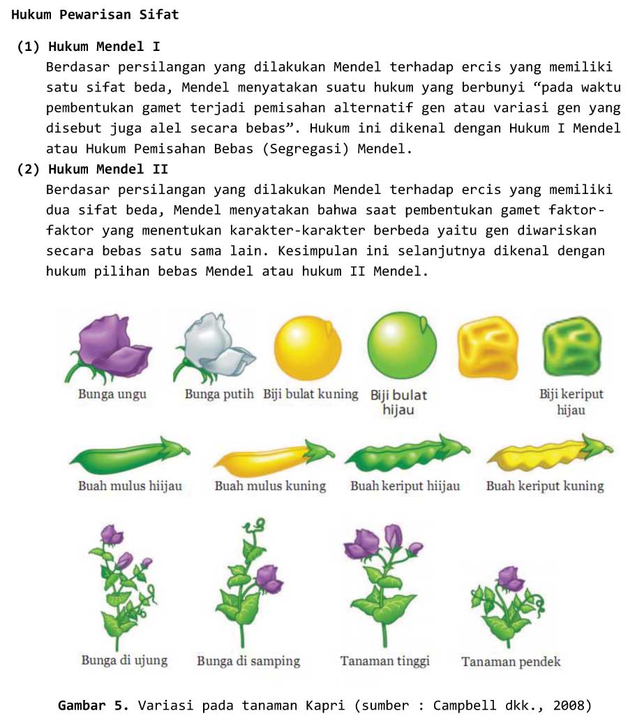 KONSEP PEWARISAN SIFAT