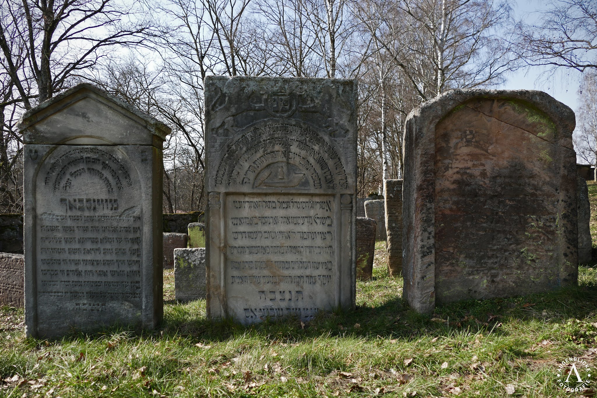 Augenblicke Fotografie Jüdischer Friedhof