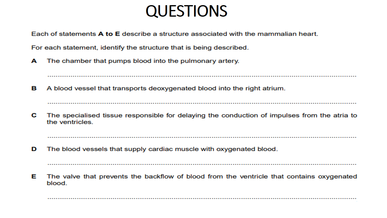 Grade 11: ENRICHMENT LESSON WEEK 2
