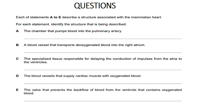 Grade 11: ENRICHMENT LESSON WEEK 2