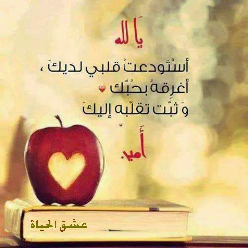 خلفيات يوم الجمعة صور تهاني الجمعة