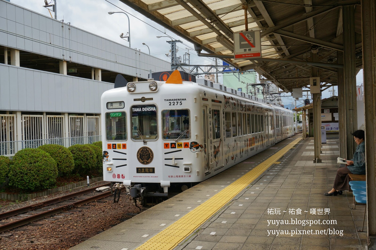 和歌山景點 和歌山電鐵小玉二玉貓站長 貴志川線小玉電車及草莓電車