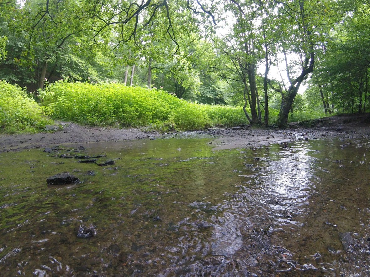 In der Natur zu Hause Almaring Motodrom Gelsenkirchen