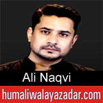https://www.humaliwalyazadar.com/2018/09/ali-naqvi-nohay-2019.html