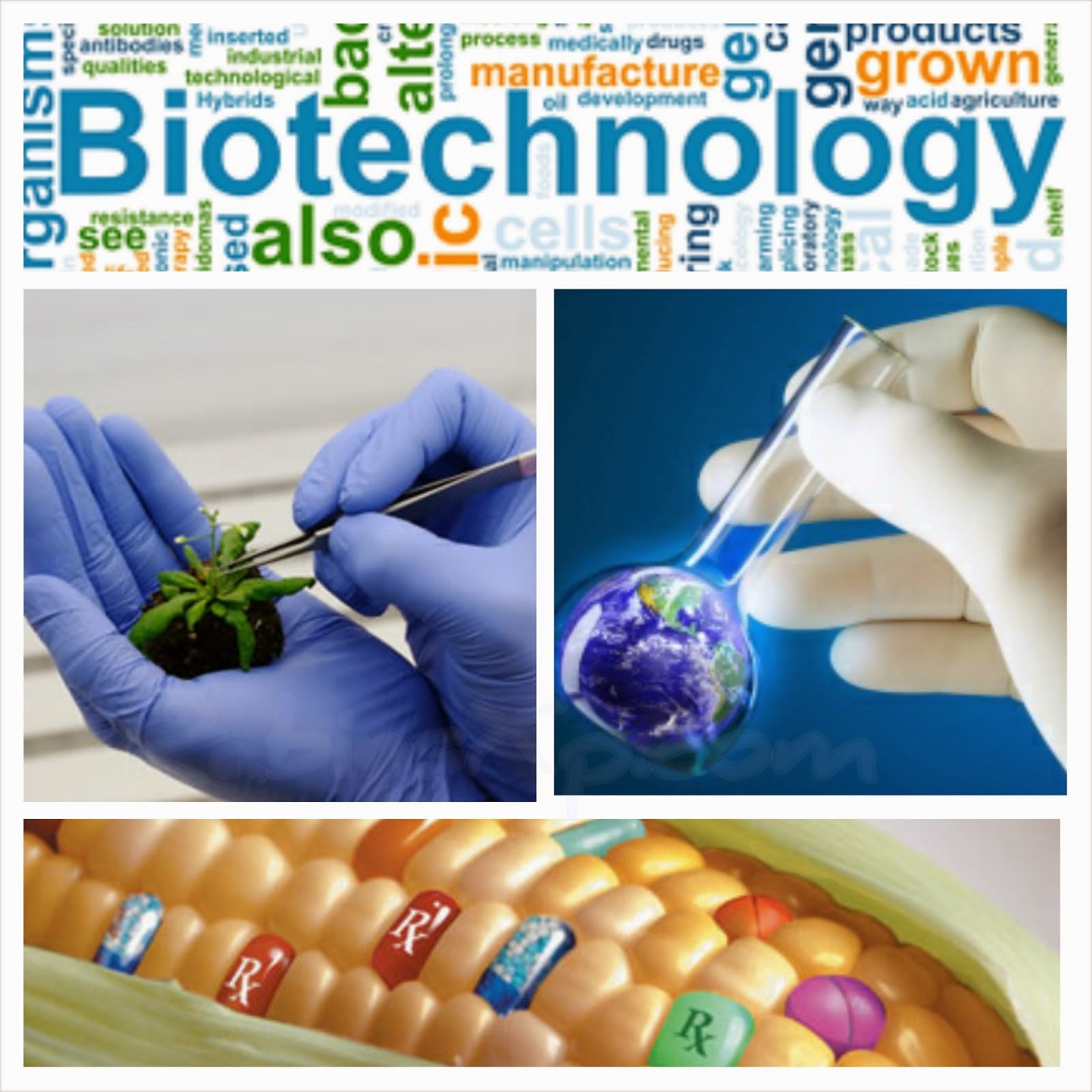 what is biotechnology research and development