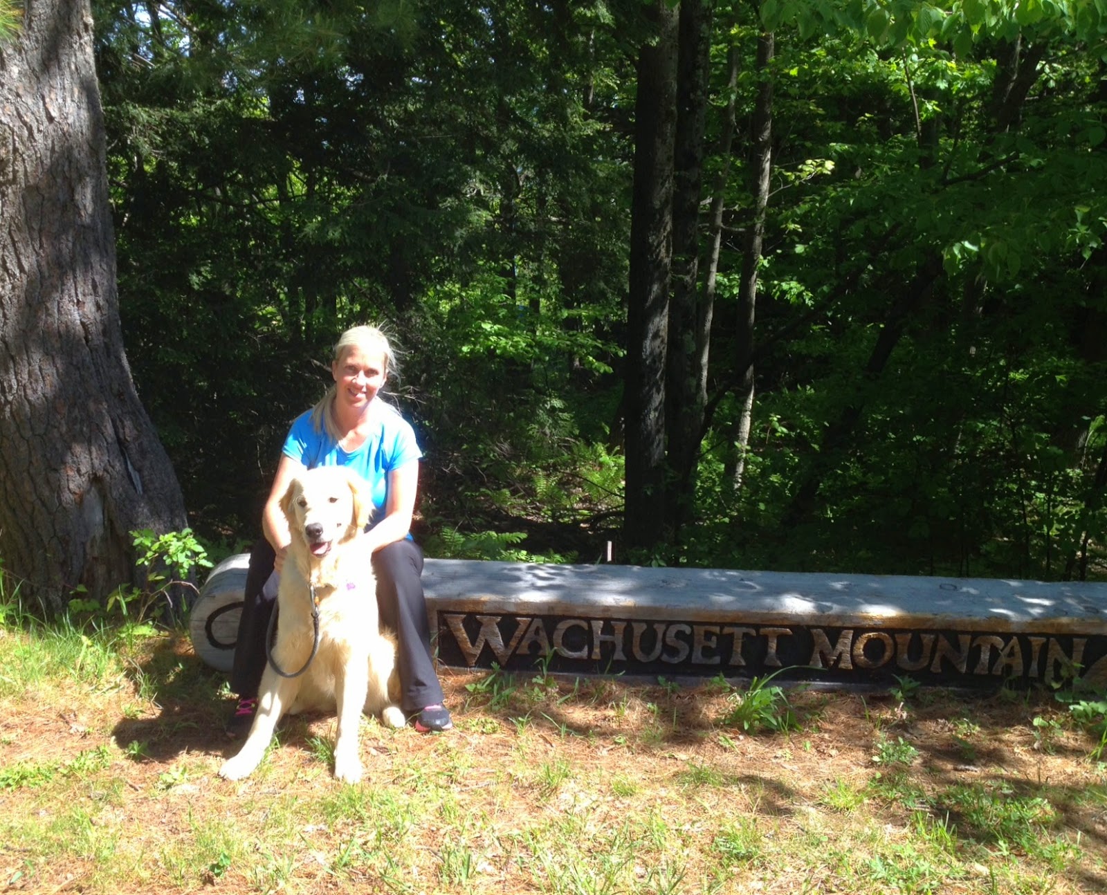 hiking with your dog at wachusett mountain