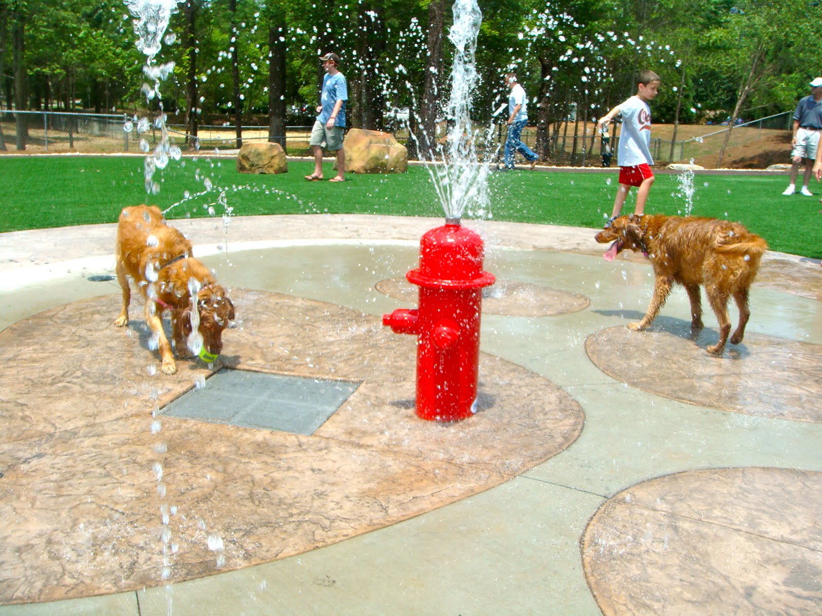 To Dog With Love: Beneful Dream Dog Park Opening Day!