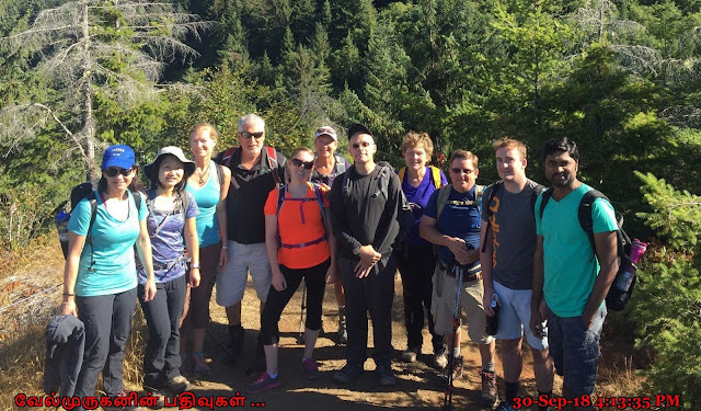 Saddle Mountain Hiking