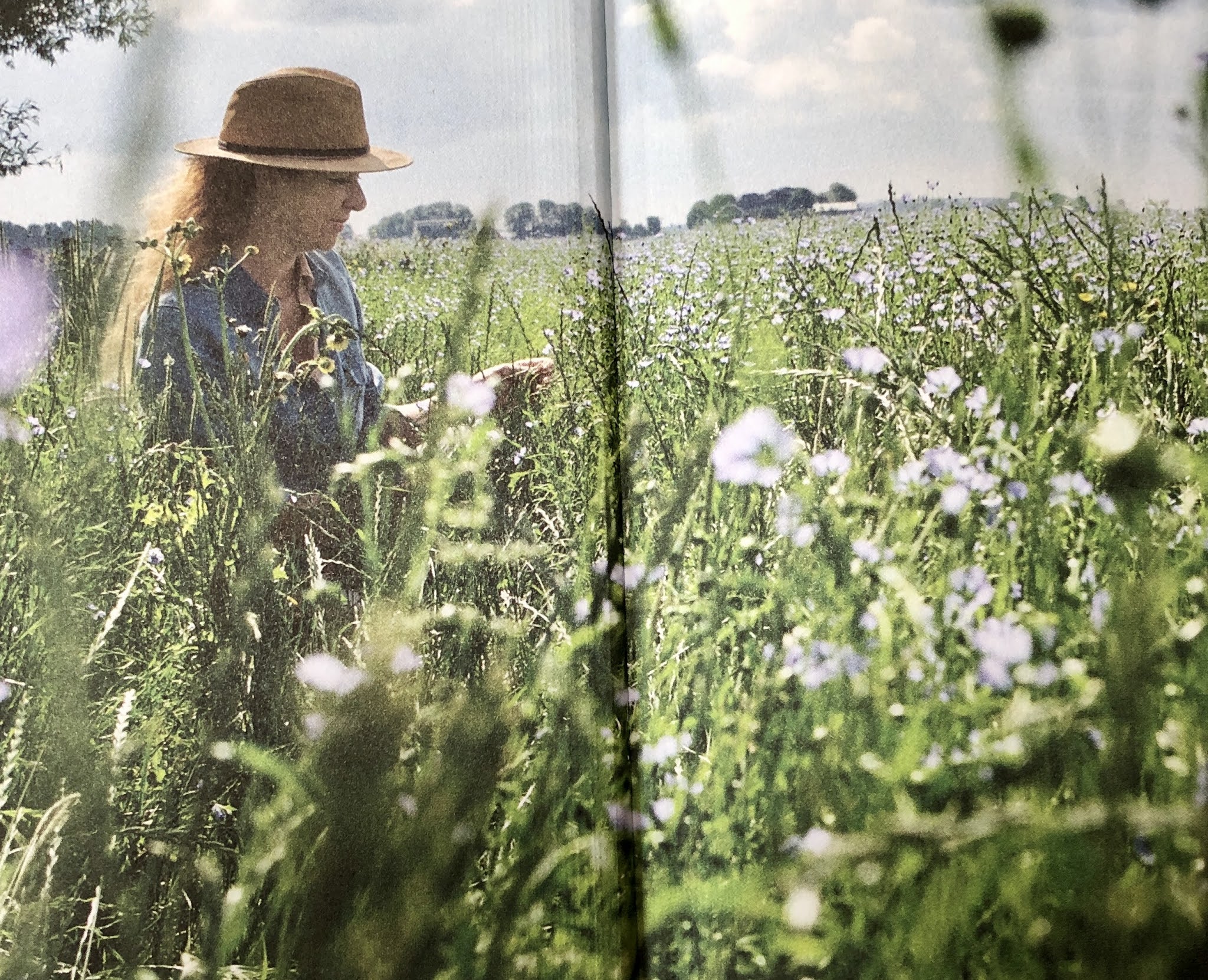 plant als medicijn Leoniek Bontje