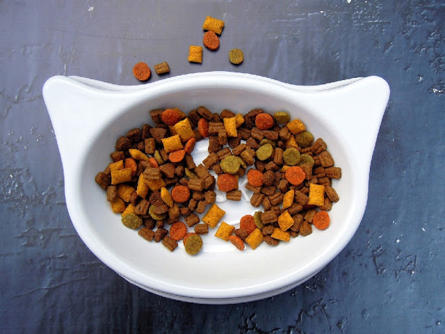 Best Dry Foods for A Cat Best Dry Foods for A Cat