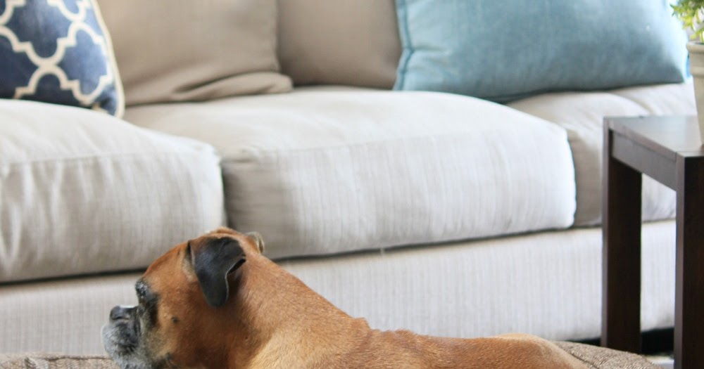 Dog Beds That Look Like Furniture Brentwood Home Runyon Bed TNR