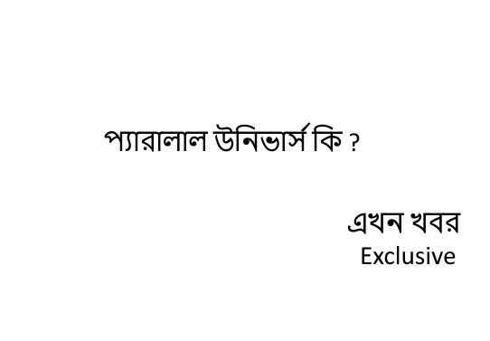 প্যারালাল উনিভার্স কি ?