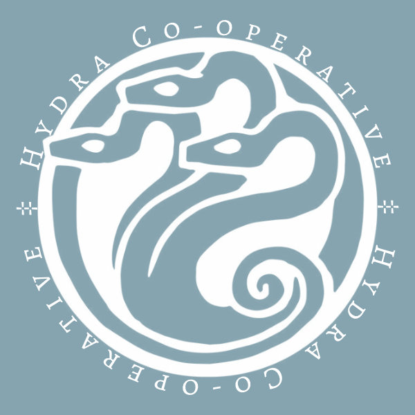 Hydra Co-op