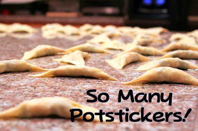 make your own potstickers
