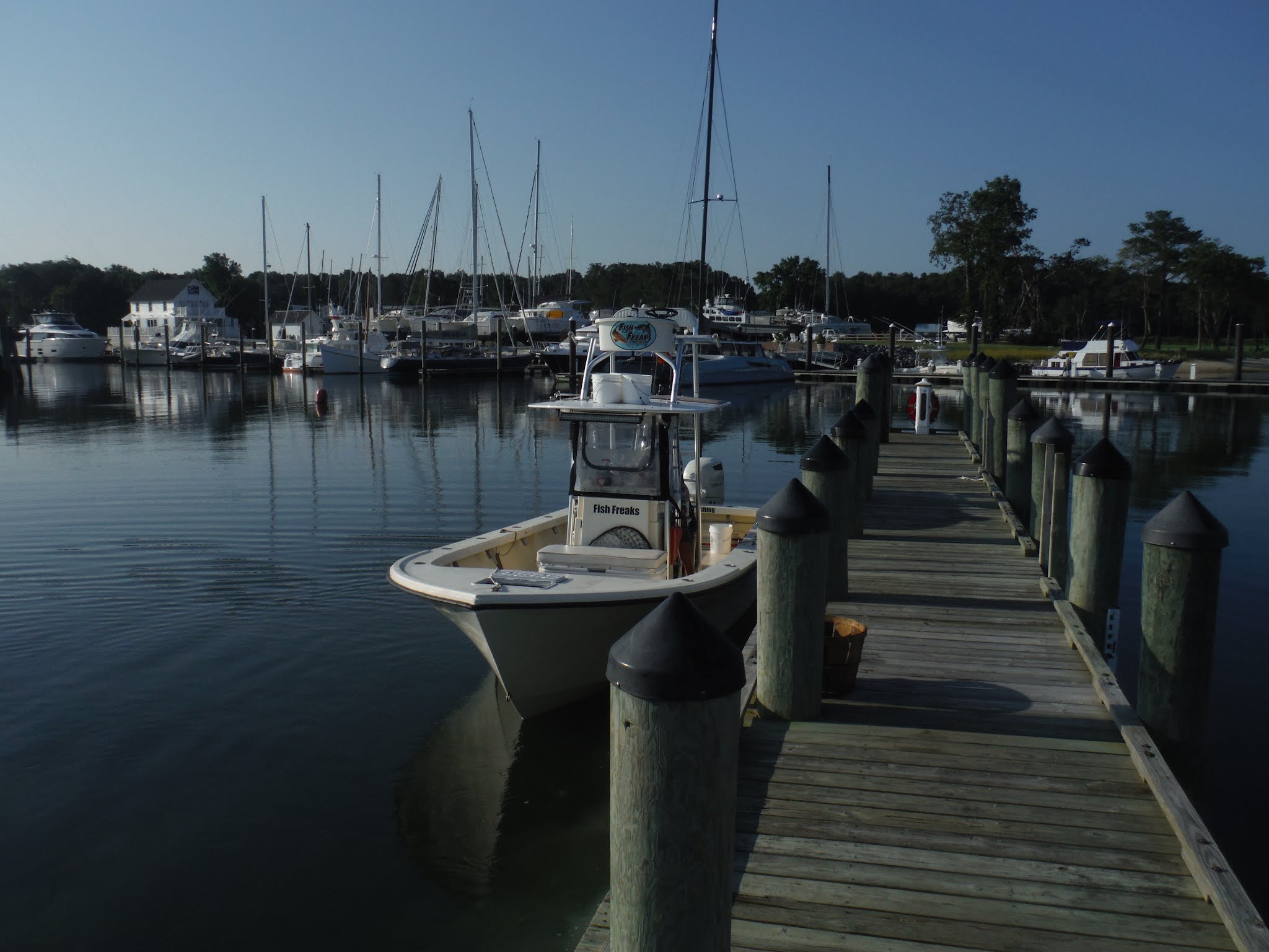 Mikey D Fishing Cape Charles, VA Fishing Report, 10 August A Greek Tragedy