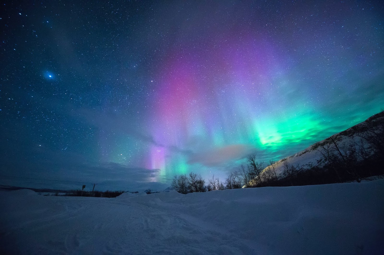 Auroras Fight