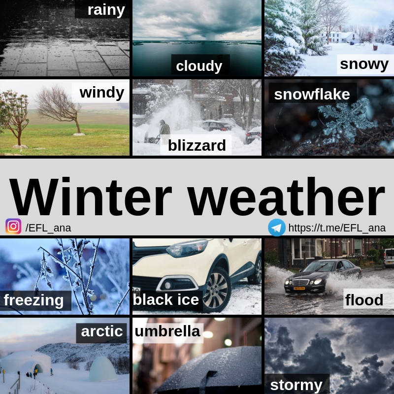 CPI Tino Grandío Bilingual Sections Winter weather