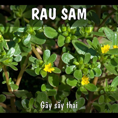 Rau sam Rau sam
