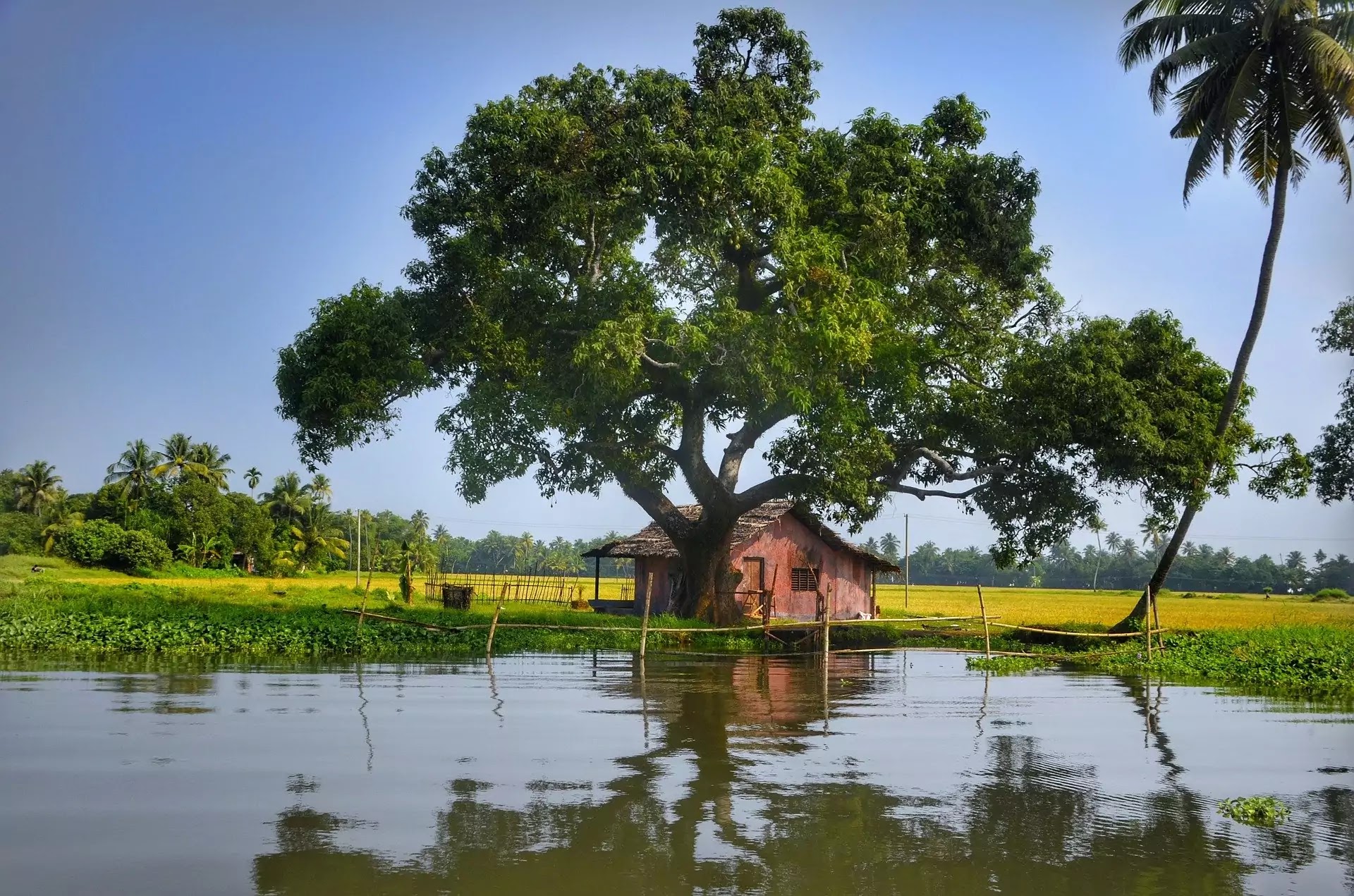 Popular Beaches in Kerala