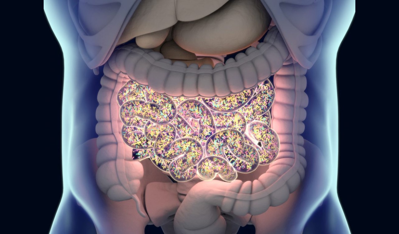 Neden Şeker Yemek İsteriz? Çok Fazla Şeker Yersek Ne Olur?