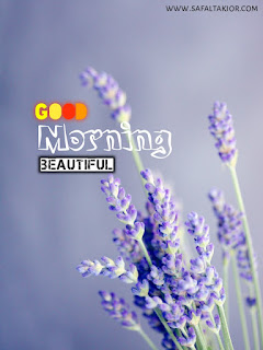  Simple Refreshing Good Morning Images