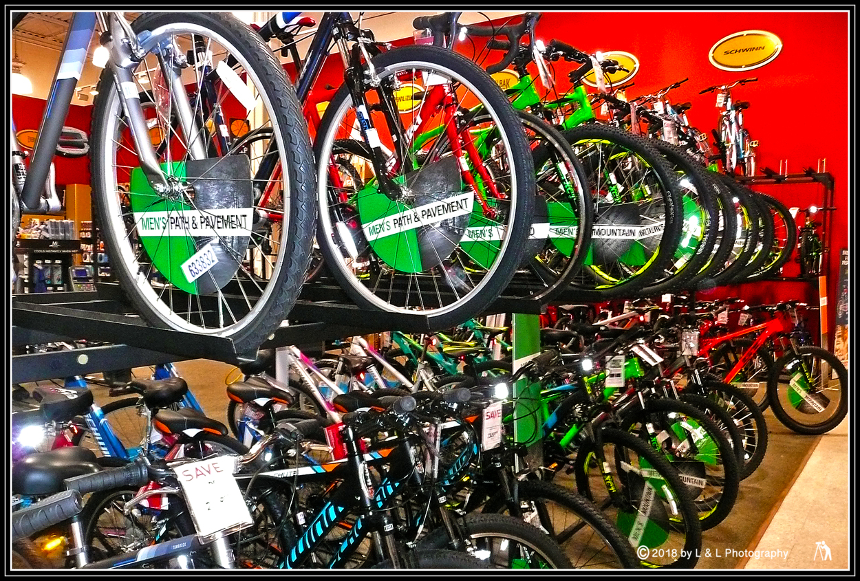 Ocala, Central Florida & Beyond Bikes at Dick's