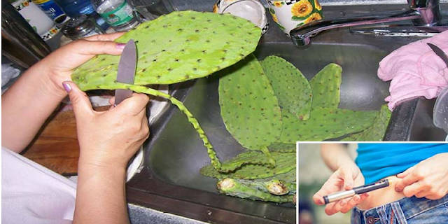 Como Preparar El Jugo De Nopal Para Producir Insulina Y Bajar El Azúcar De La Sangre De Forma Natural Como Preparar El Jugo De Nopal Para Producir Insulina Y Bajar El Azúcar De La Sangre De Forma Natural