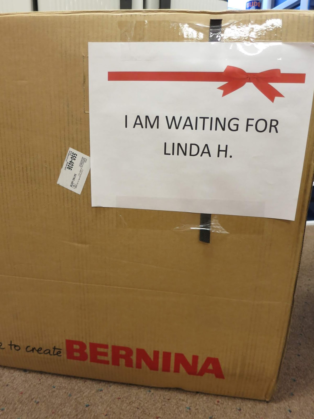 Flourishing Palms New! Bernina 770QE