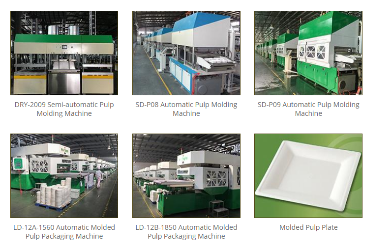 Biodegradable disposable products Manufacturing Unit