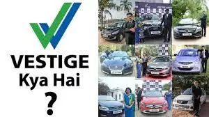 vestige kya hai