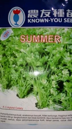 Seledri, Benih, Summer, Harga murah, Tahan cuaca hujan, Potensi hasil tinggi