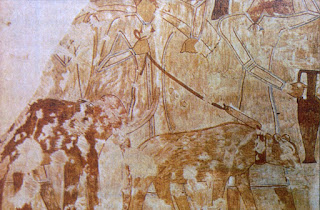 Mısır'da Rekhmire mezarında bir duvar resminde sol altta "pigme mamut" tasviri bulunur.