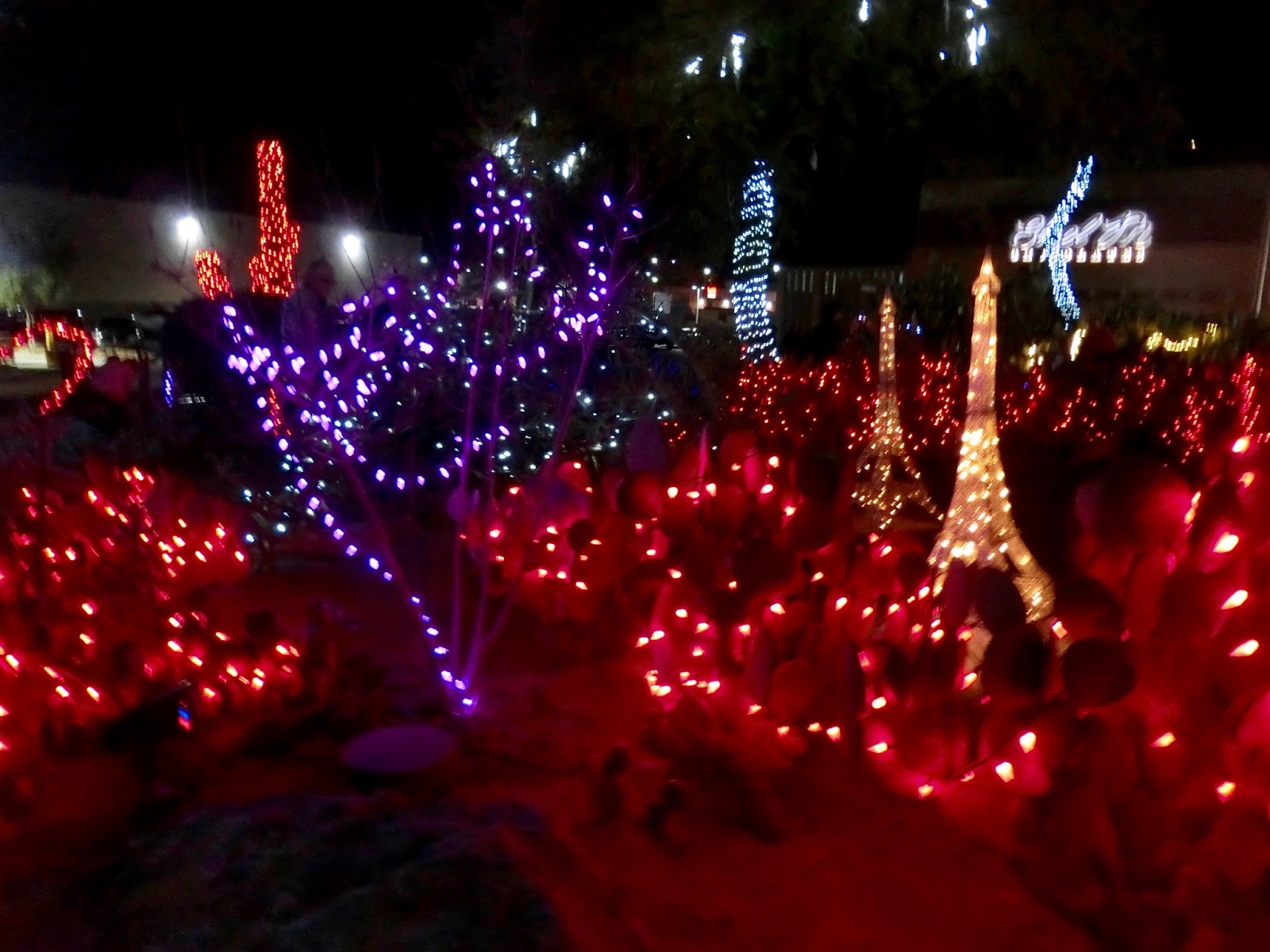 Nau speak Vegas Ethel M. Lights of Love 2018