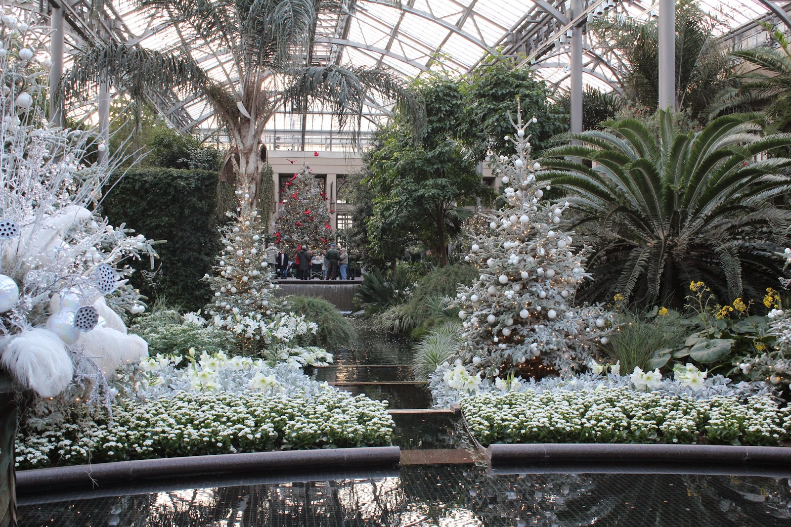 figs flowers food LONGWOOD GARDENS CHRISTMAS 2014 Part 2