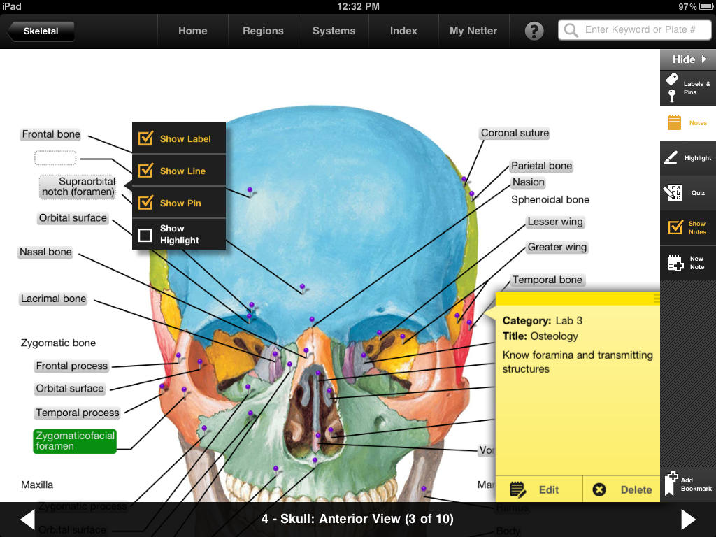 netter atlas of human anatomy pdf - Scribd india