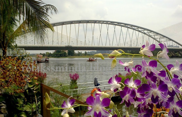 Pesta Bunga - Festival Floria Diraja Putrajaya 2015