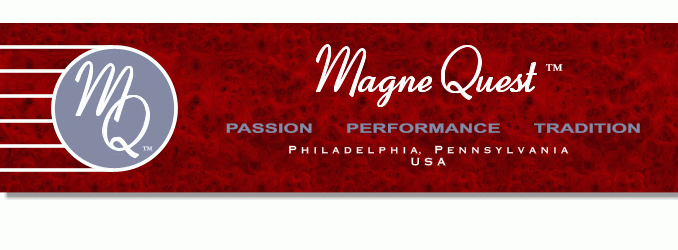 MagneQuest