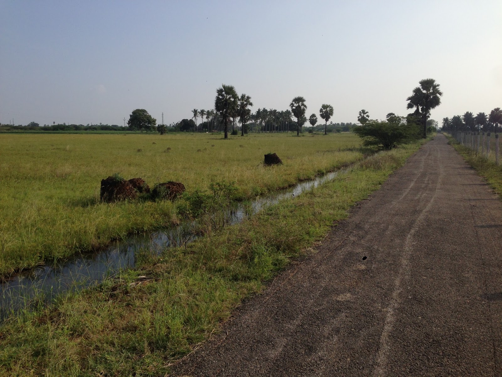 AGRI LANDS CHEAP AGRICULTURE LAND FOR SALE NEAR TIRUNELVELI