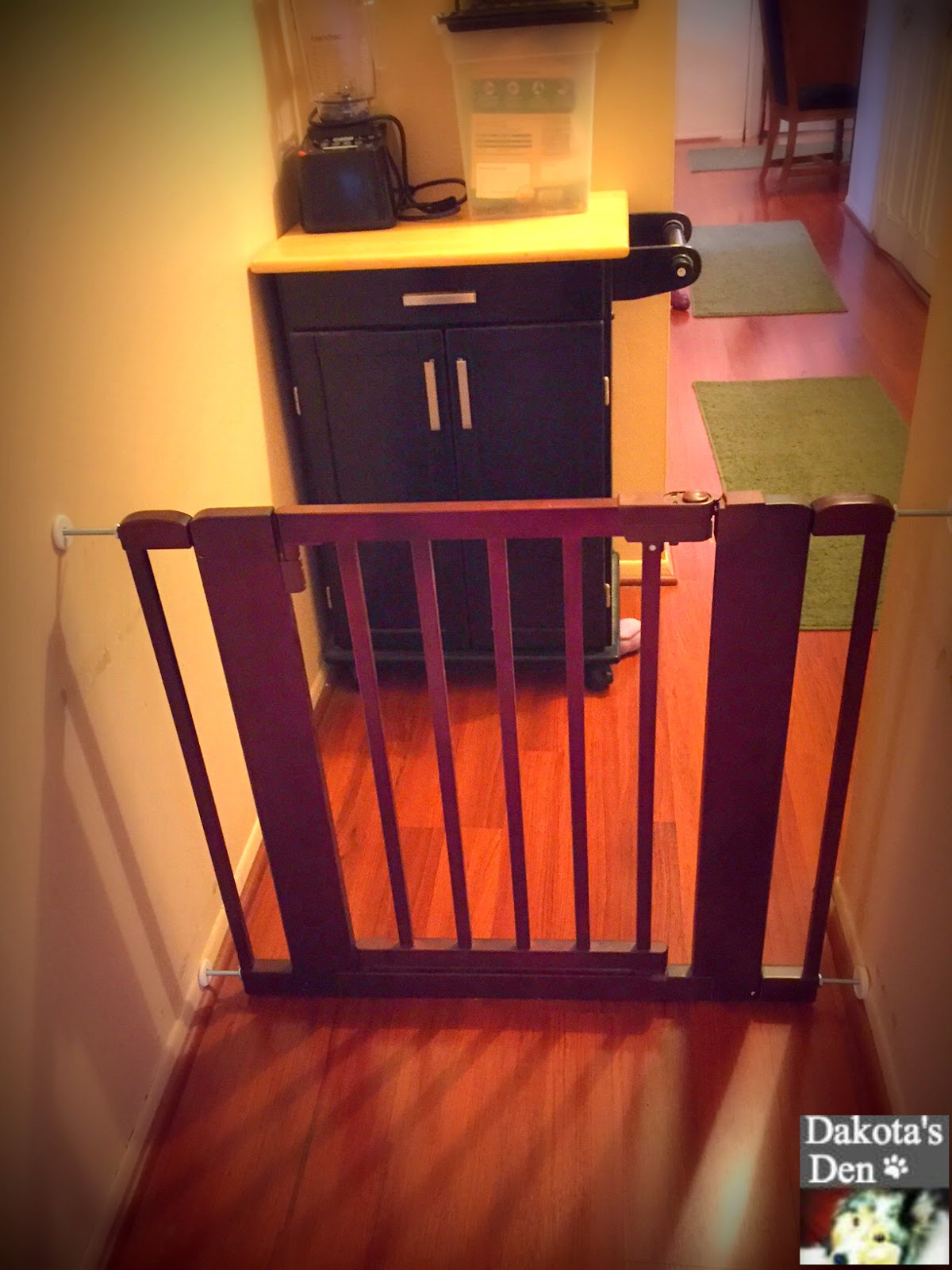 Cat and DOG Chat With Caren Pet Product The Autoclose Pet Gate from