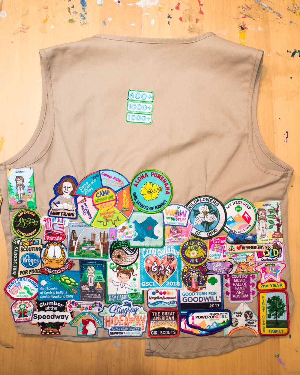 Girl Scout Fun Patches and Pins  Girl scouts, Girl scout fun patches, Girl  scout patches