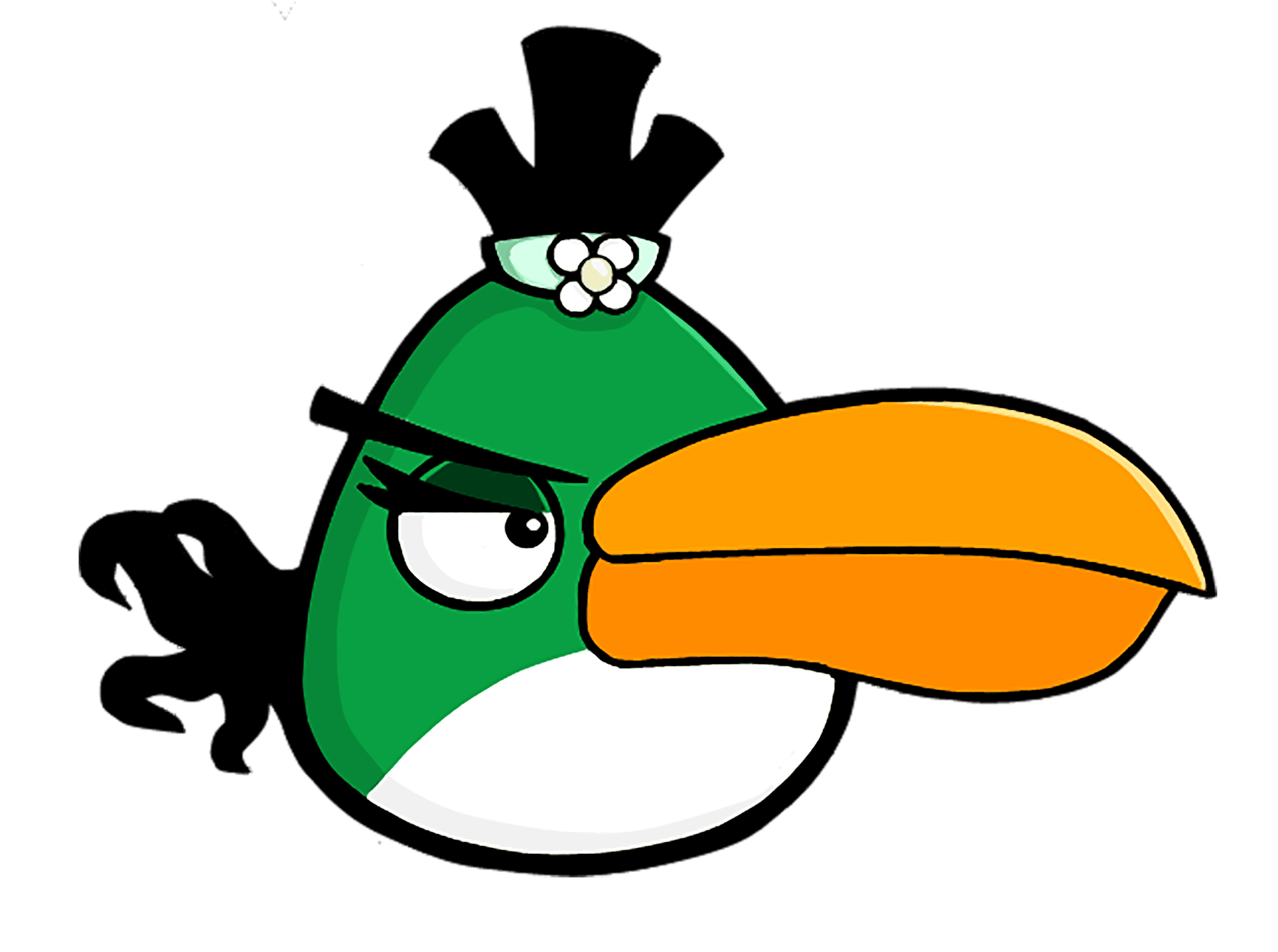Энгри бердз птица хэл. Хэл из angry birds. Хэл из энгри бердз. Тукан angry birds. Зеленая птичка из энгри бердз.