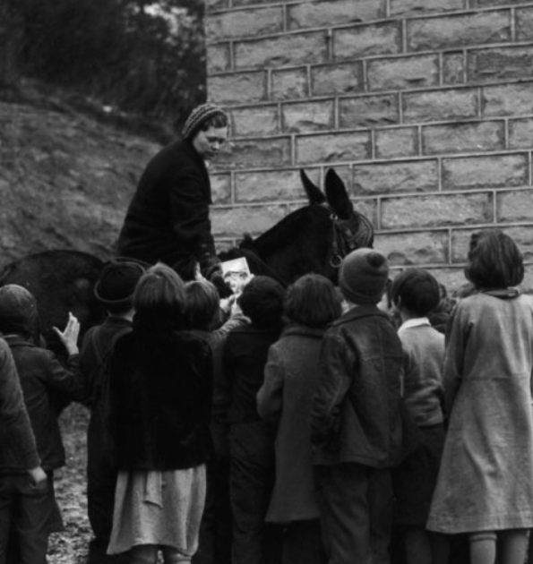 Functional Horsemanship Pack Horse Library Initiative