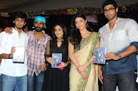 Three Audio Launch Gallery [Andhrula Music]