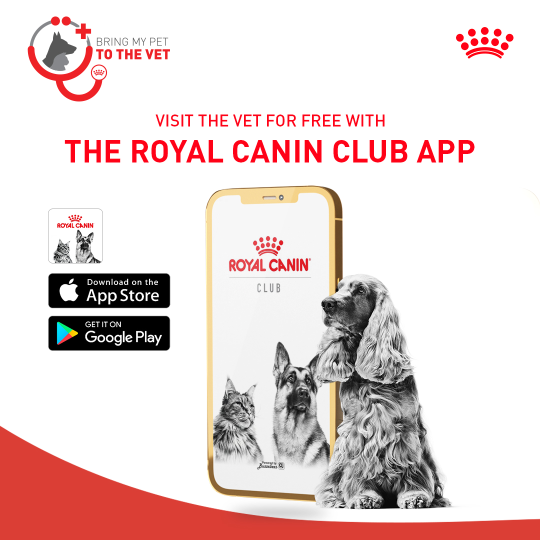 Royal canin club