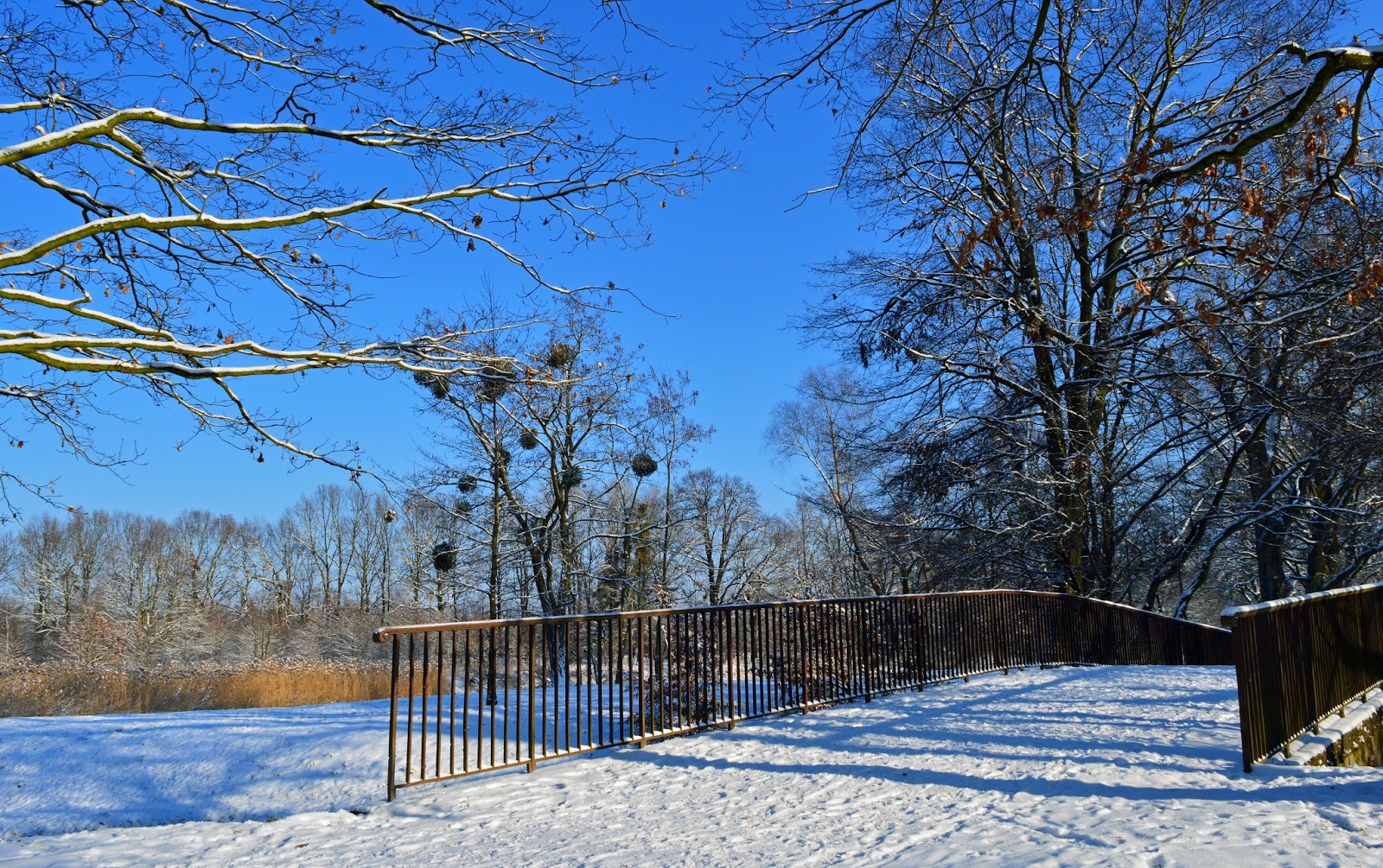 Zima Park Wschodni Wrocław
