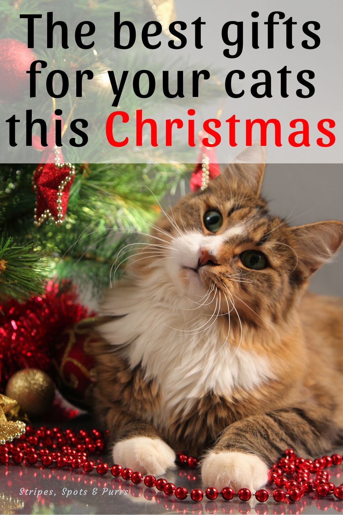 Gifts your cats want for Christmas | Stripes Spots and Purrs