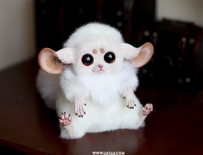 Мадагаскарский глазоухх. Граф santaniel игрушки. Милые мягкие игрушки. Где милые игрушки. Граф santaniel игрушки.